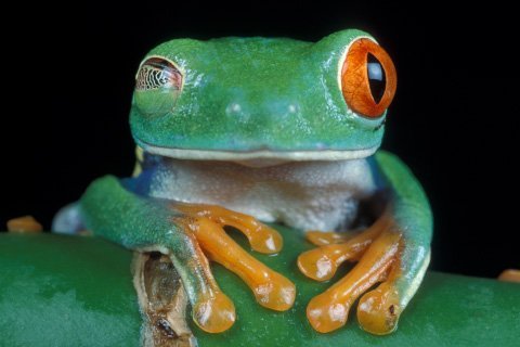 quick user Portfolio